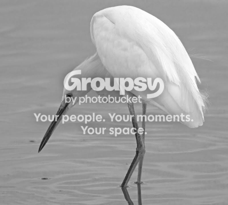 IMG_5172-Editcopy.jpg