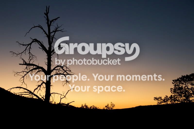 sunset-1.jpg