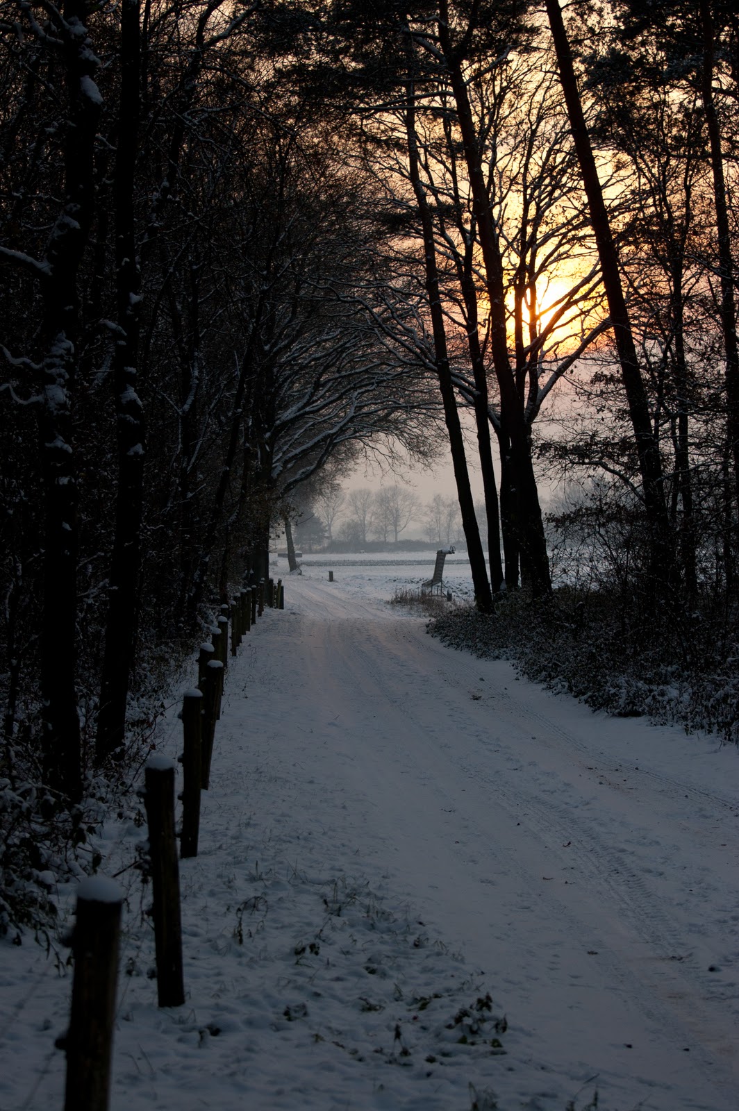DSC_9153-1.jpg