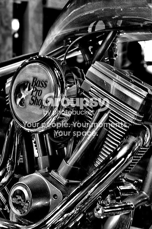 _MG_1560bw.jpg