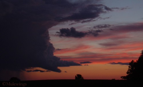 2624570028_259b620149.jpg
