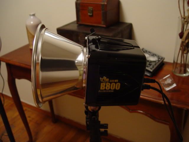 DSC08142.jpg