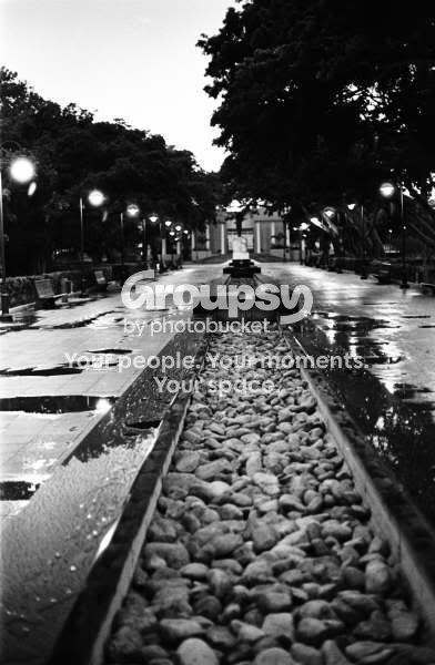 LuisMunozRiveraPark.jpg