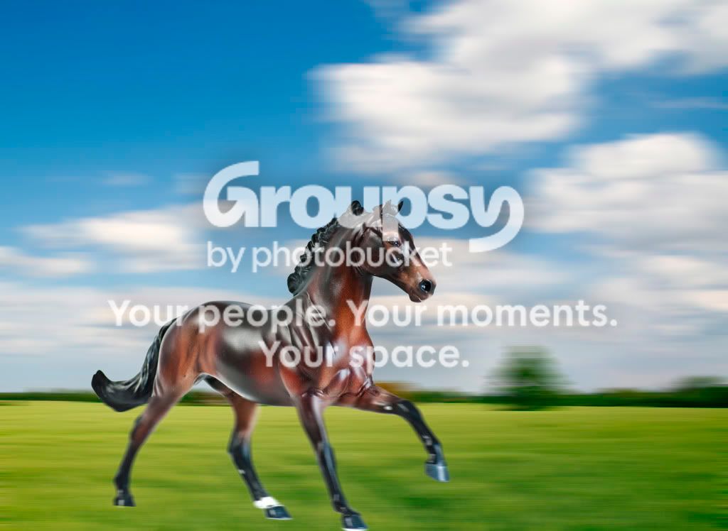 Horse.jpg