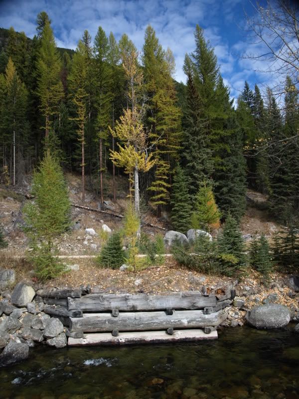 PA122398.jpg