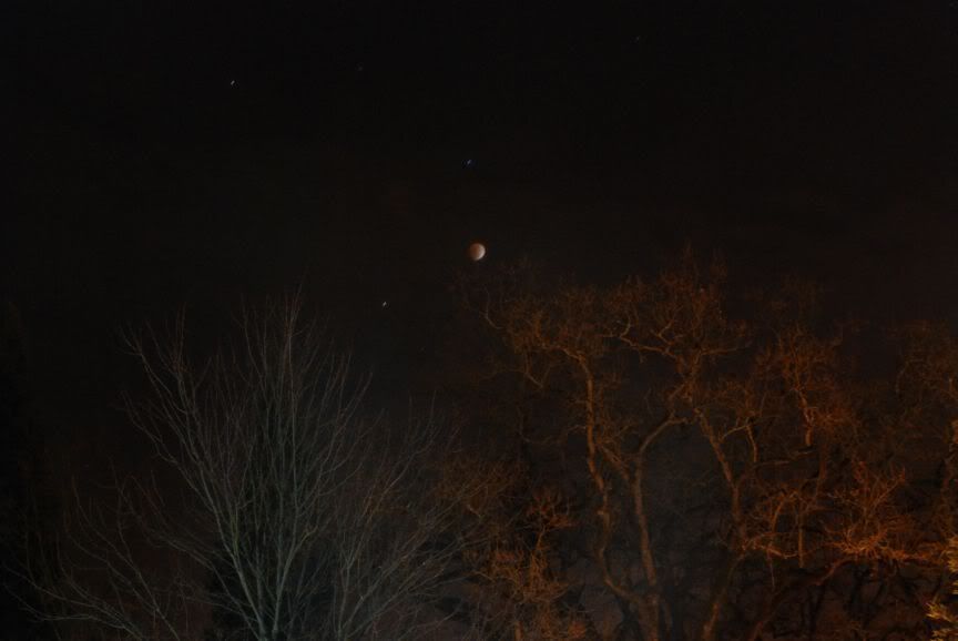 DSC_0015.jpg
