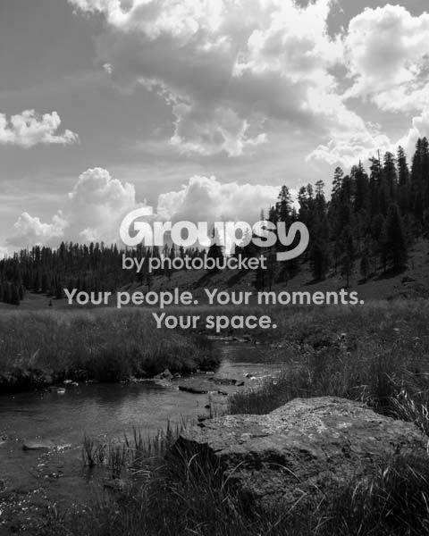 bwcreek8share.jpg