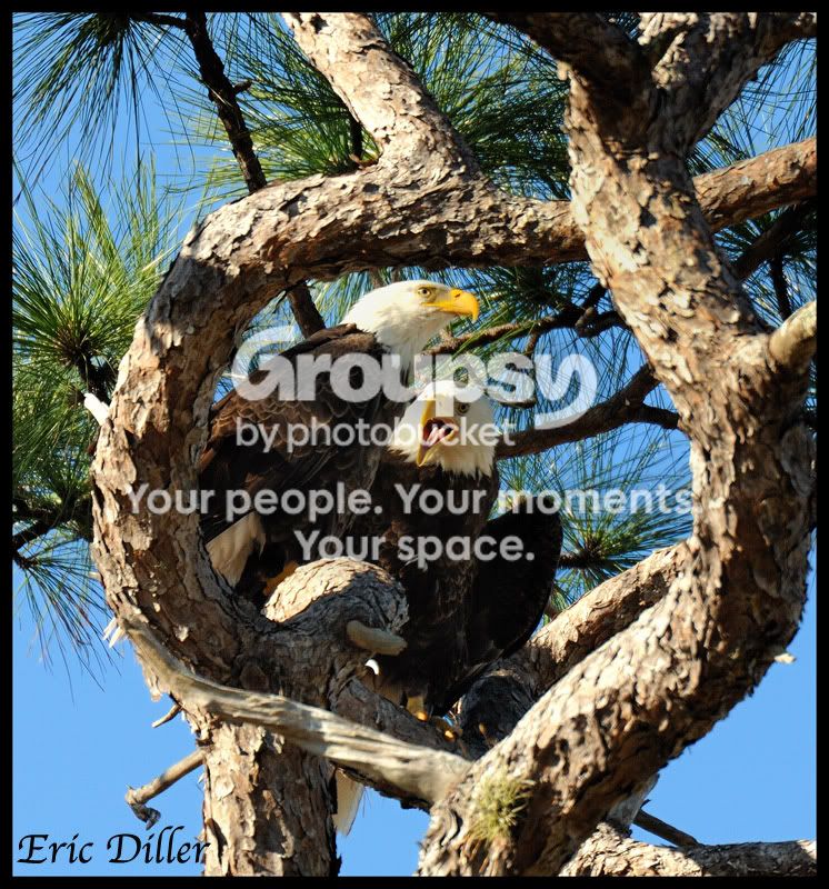 PIC_0972copy.jpg