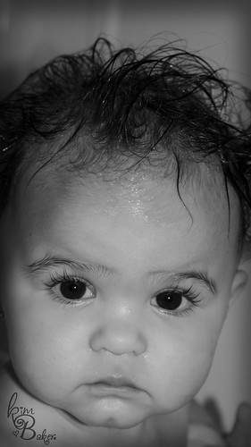 3391294392_a1167aec31.jpg