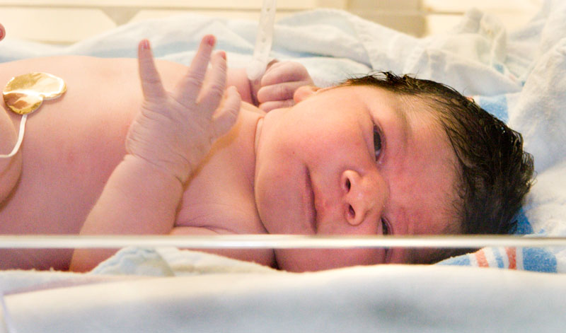 Ava%20-%2013.jpg