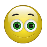 11.gif