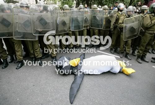 64d0abfb.jpg