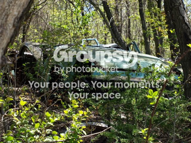 junkyard039-1.jpg