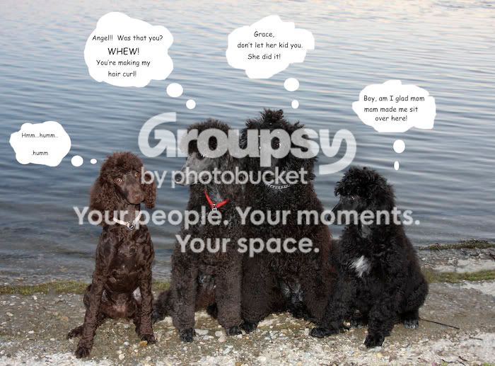 09_04_08_mydogs_bubbles.jpg