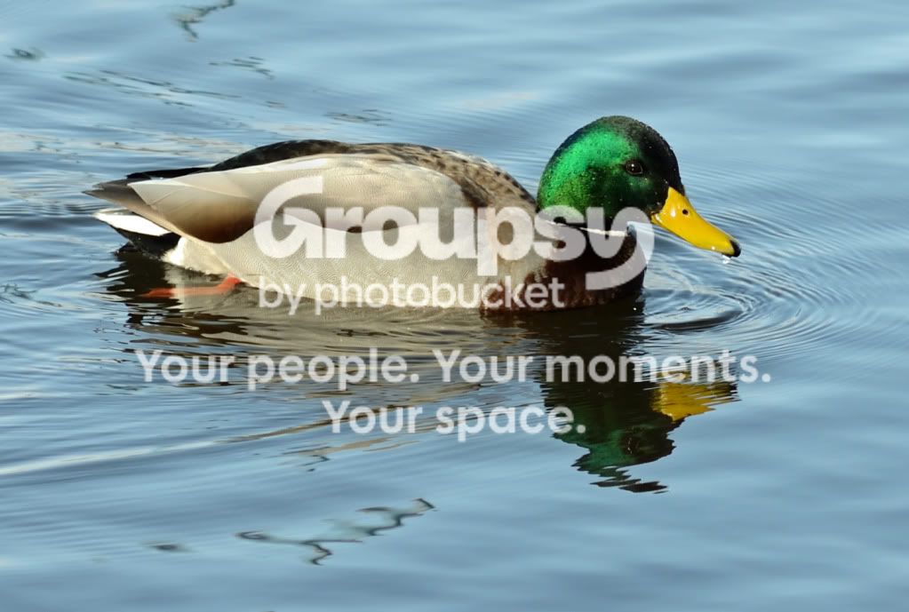 DSC_7249.jpg