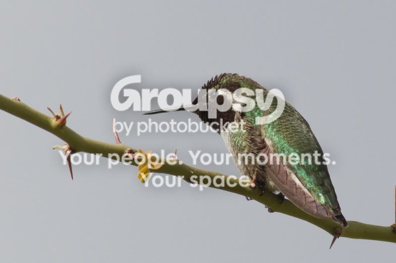 IMG_7716-Edit.jpg