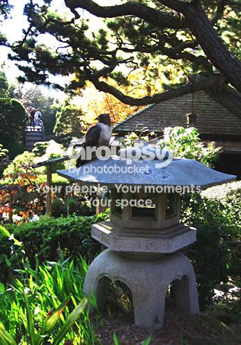 A520_IMG_0620_share.jpg
