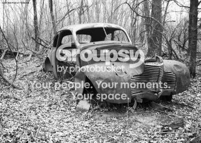 StuckIntheBrush.jpg