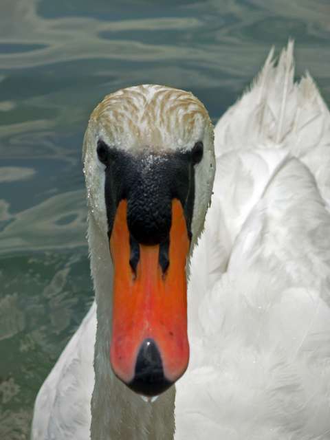 dscn3737priy4.jpg