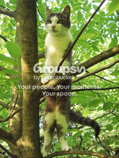 DSC00244.jpg