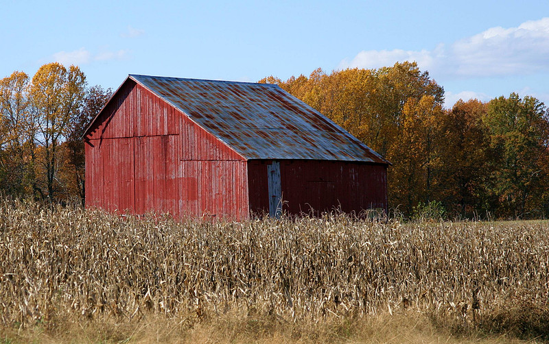 p245804962-4.jpg