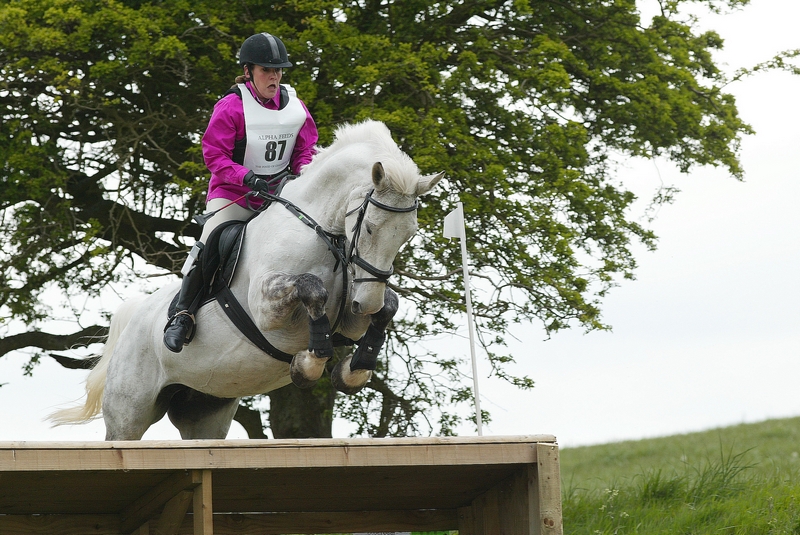 533031811_bjjix-L.jpg