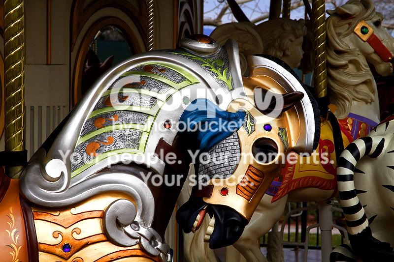 go-around_100.jpg