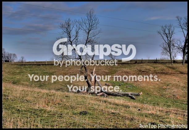 IMG_0392_3_55copy.jpg