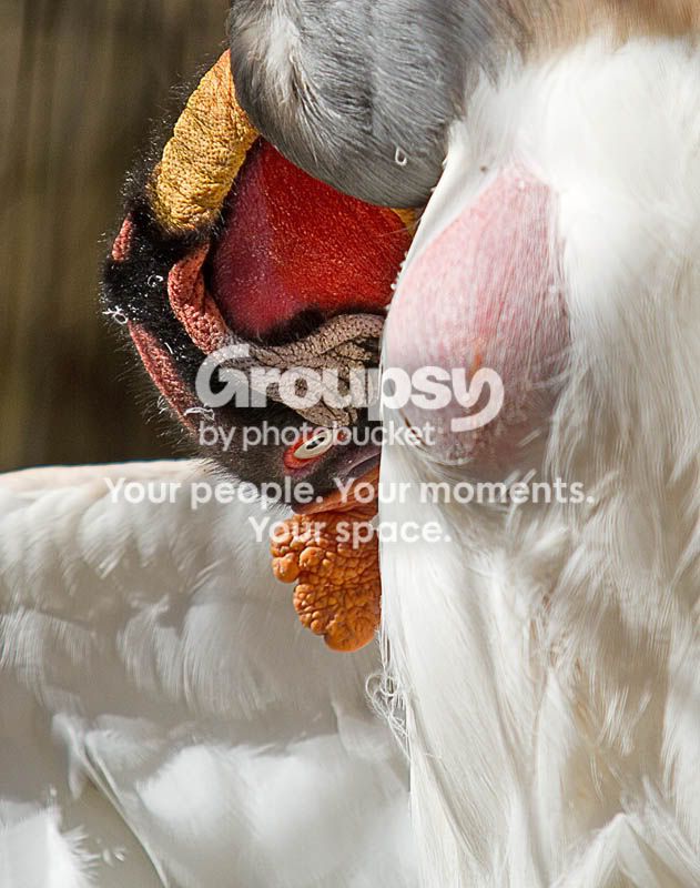 IMG_7205-Edit.jpg