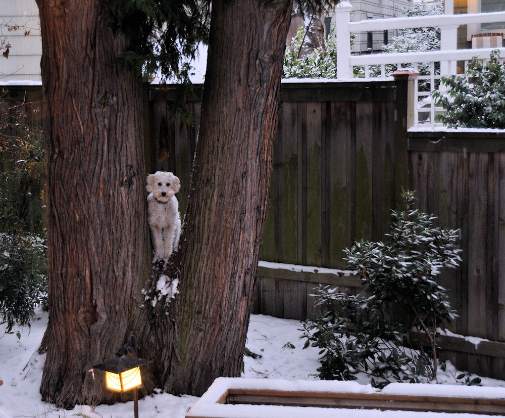 20101125_16s-1.jpg