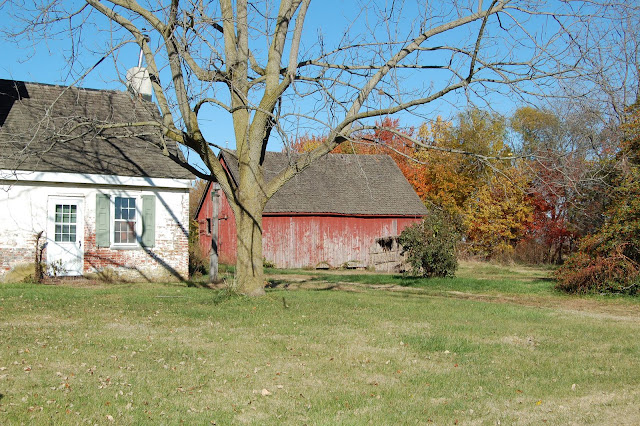 DSC_0208.JPG