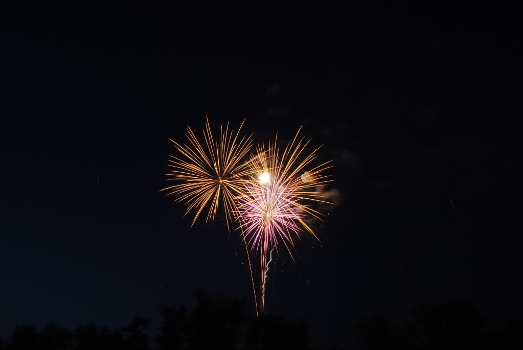 DSC_0017.jpg