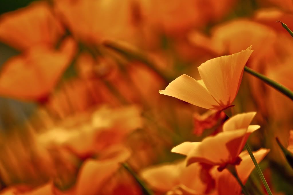hdr6.jpg