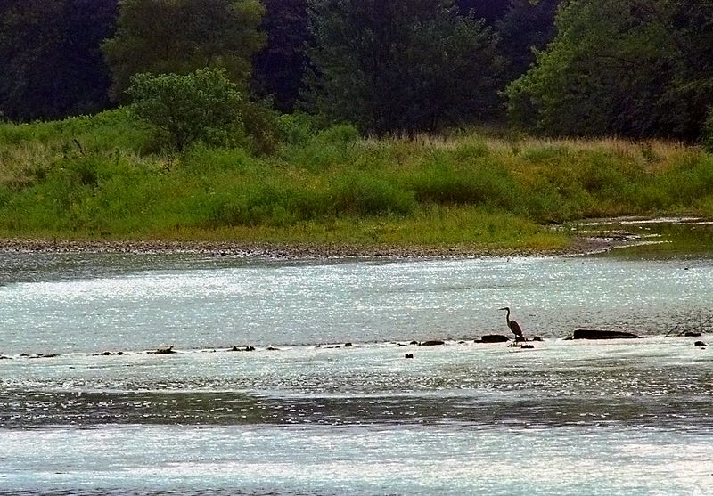 722978_018_K400_3-1.jpg