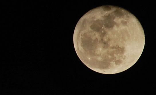 moon3.jpg