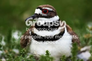 IMG_4474.jpg
