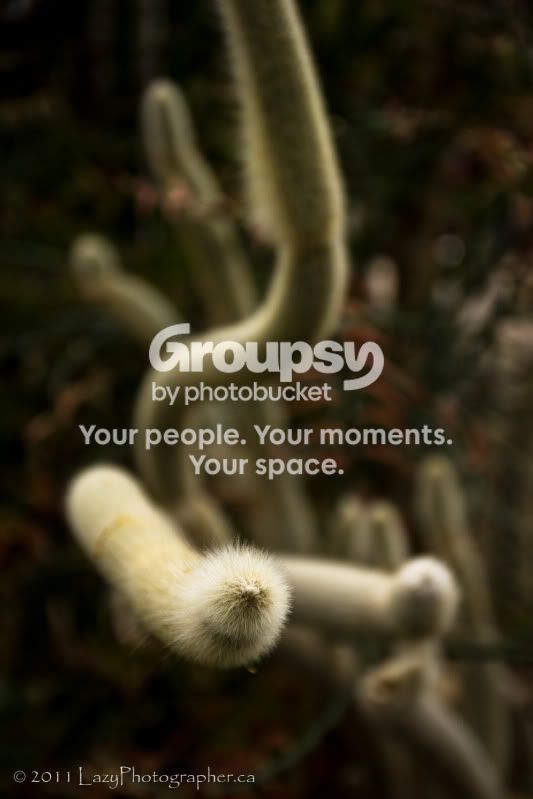 Greenhouse-11-EDITED.jpg