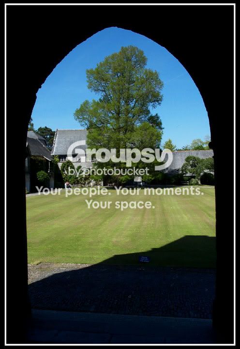 doorway-tree.jpg