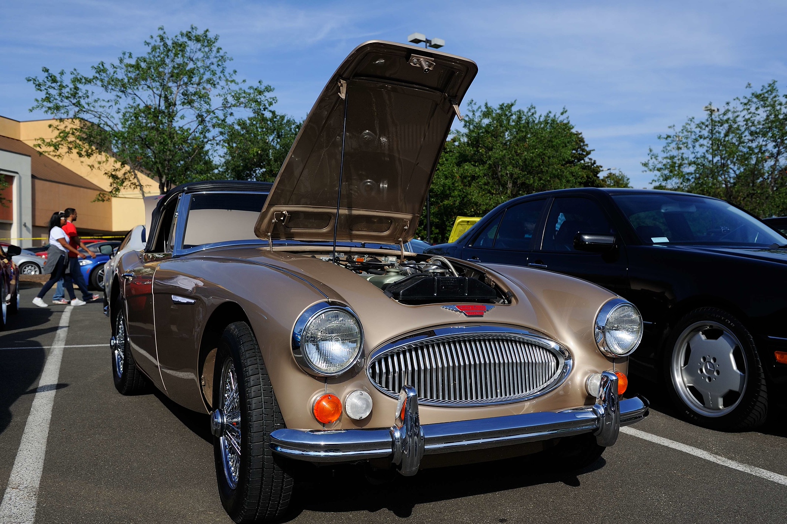DSC_00179-X3.jpg