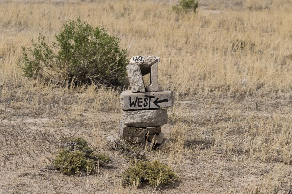 144.jpg