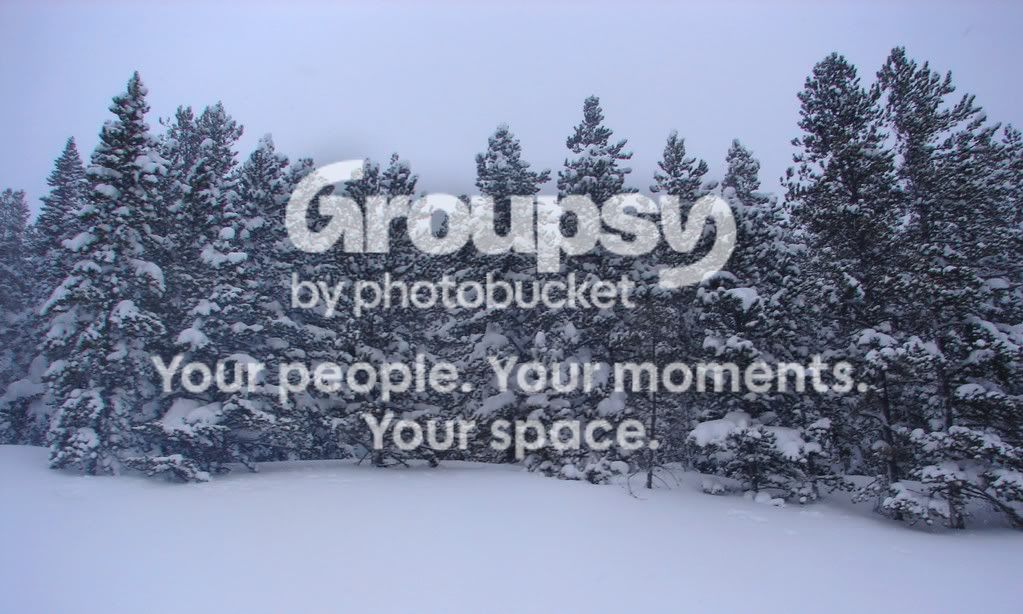 snow.jpg