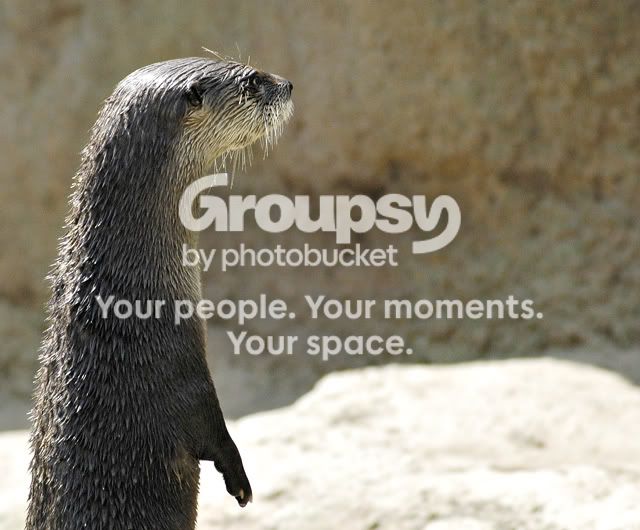 otterstanding.jpg