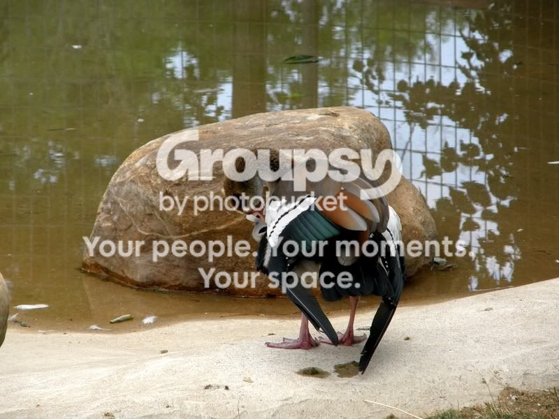 a.jpg