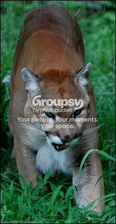 myspace144.jpg