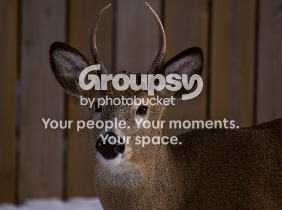 IMG_8041copy.jpg