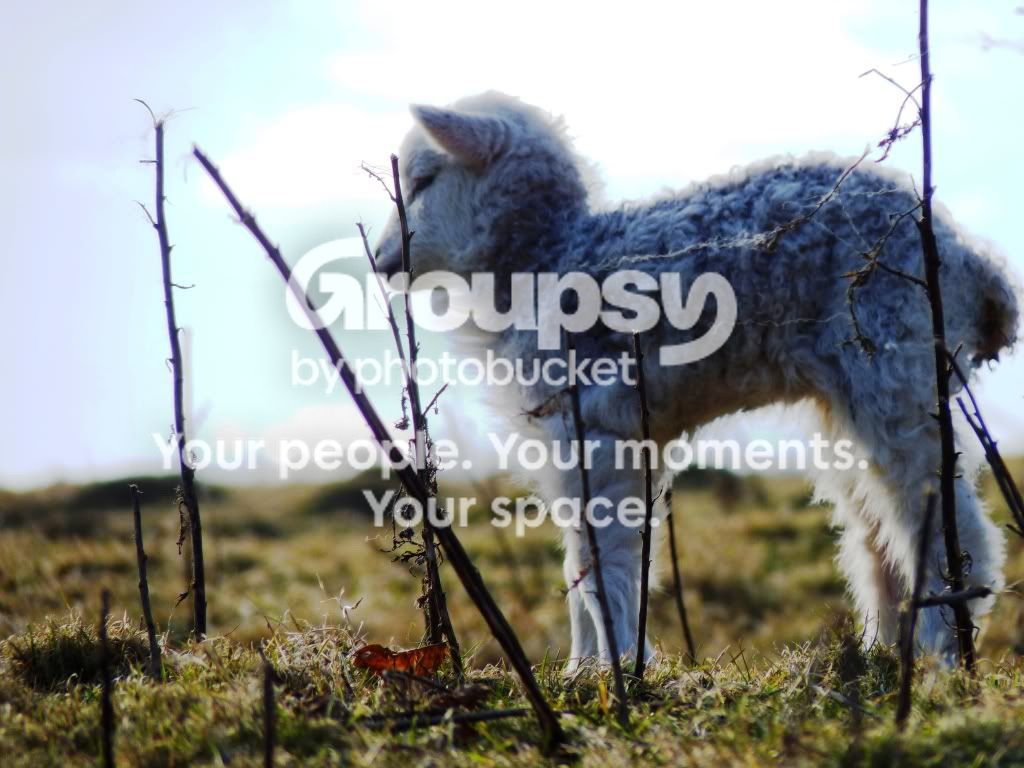 Breeze.jpg