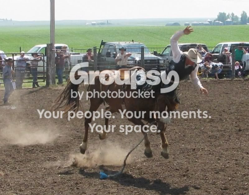 rodeo086.jpg