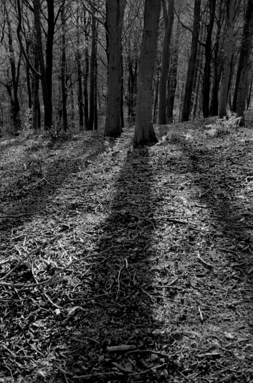 Sunday%20walk13-XL.jpg