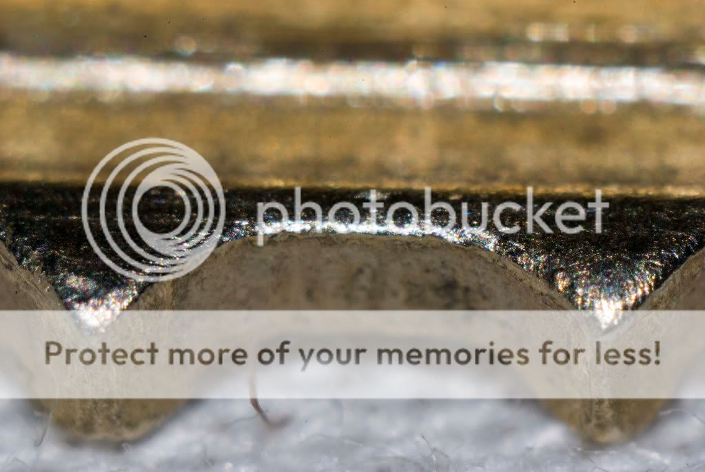 macro-072708a_6.jpg