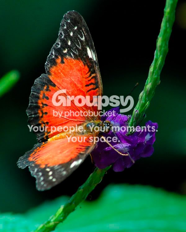 websize2005-09-13_2.jpg